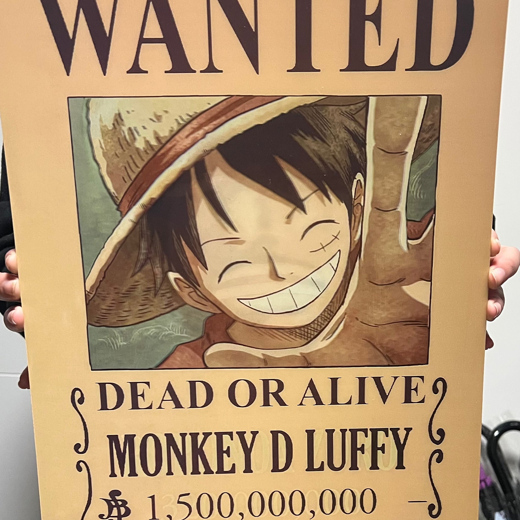 PÓSTER 3D WANTED ONE PIECE